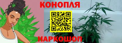 спиды Моздок