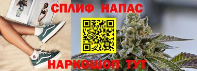 спиды Моздок