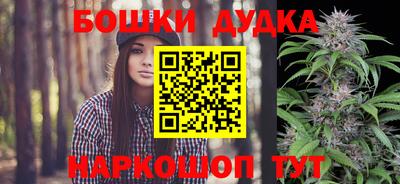 спиды Моздок