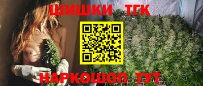 спиды Моздок