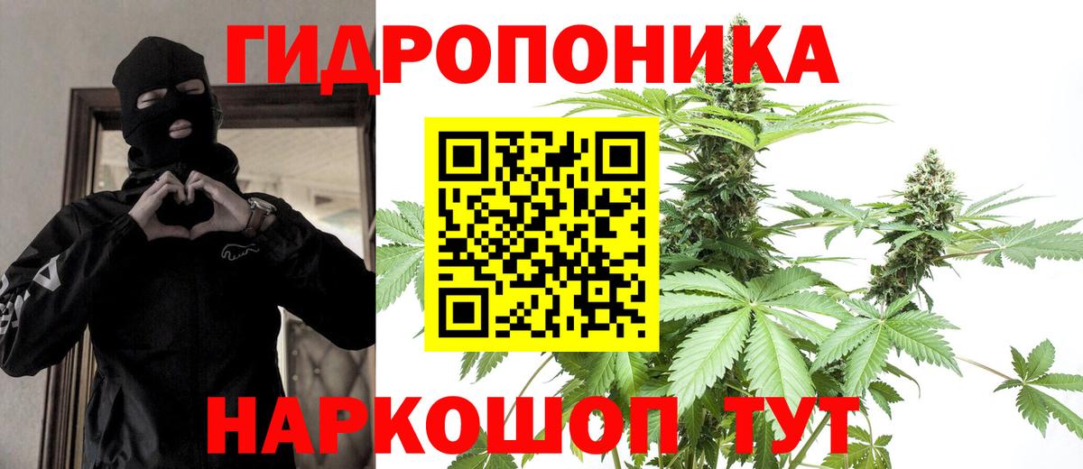 Туймазы  Бошки Шишки Bruce Banner  Вход с VPN  Марихуана Bruce Banner  Шишки марихуана гибрид  Бошки марихуана индика 